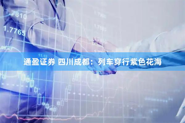 通盈证券 四川成都：列车穿行紫色花海