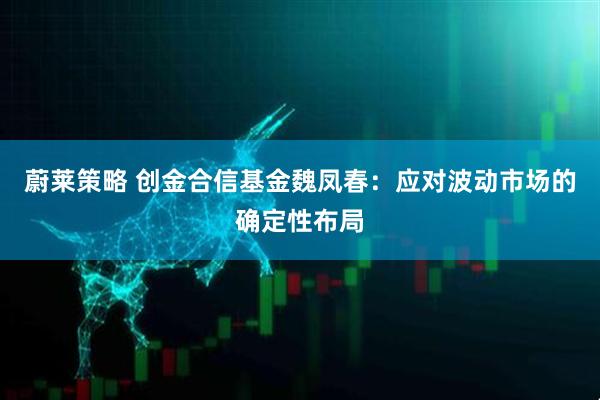 蔚莱策略 创金合信基金魏凤春：应对波动市场的确定性布局