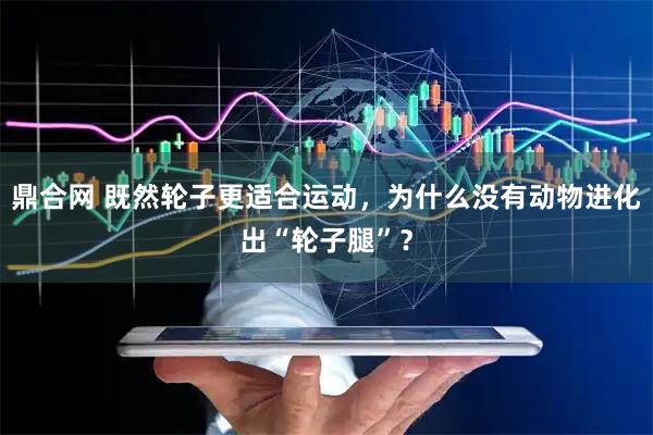 鼎合网 既然轮子更适合运动,为什么没有动物进化出“轮子腿”?