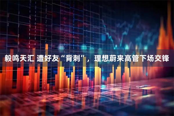 毅鸣天汇 遭好友“背刺”，理想蔚来高管下场交锋